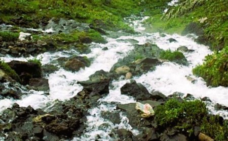 Beyaz Su'yun ölümü