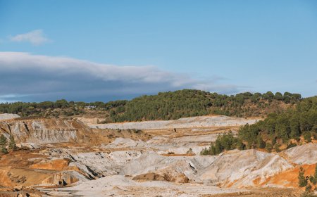 Milli bir ekolojik mücadele mümkün mü?