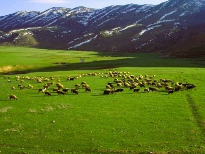 Benim dağlarım