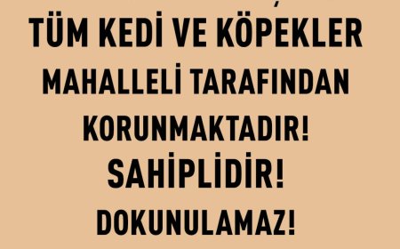 Yeni sokak  hayvanları yasası ya da katliam yasası