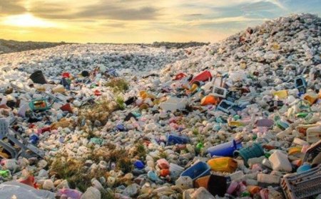 Çöp varsa uygarlık gelmiştir