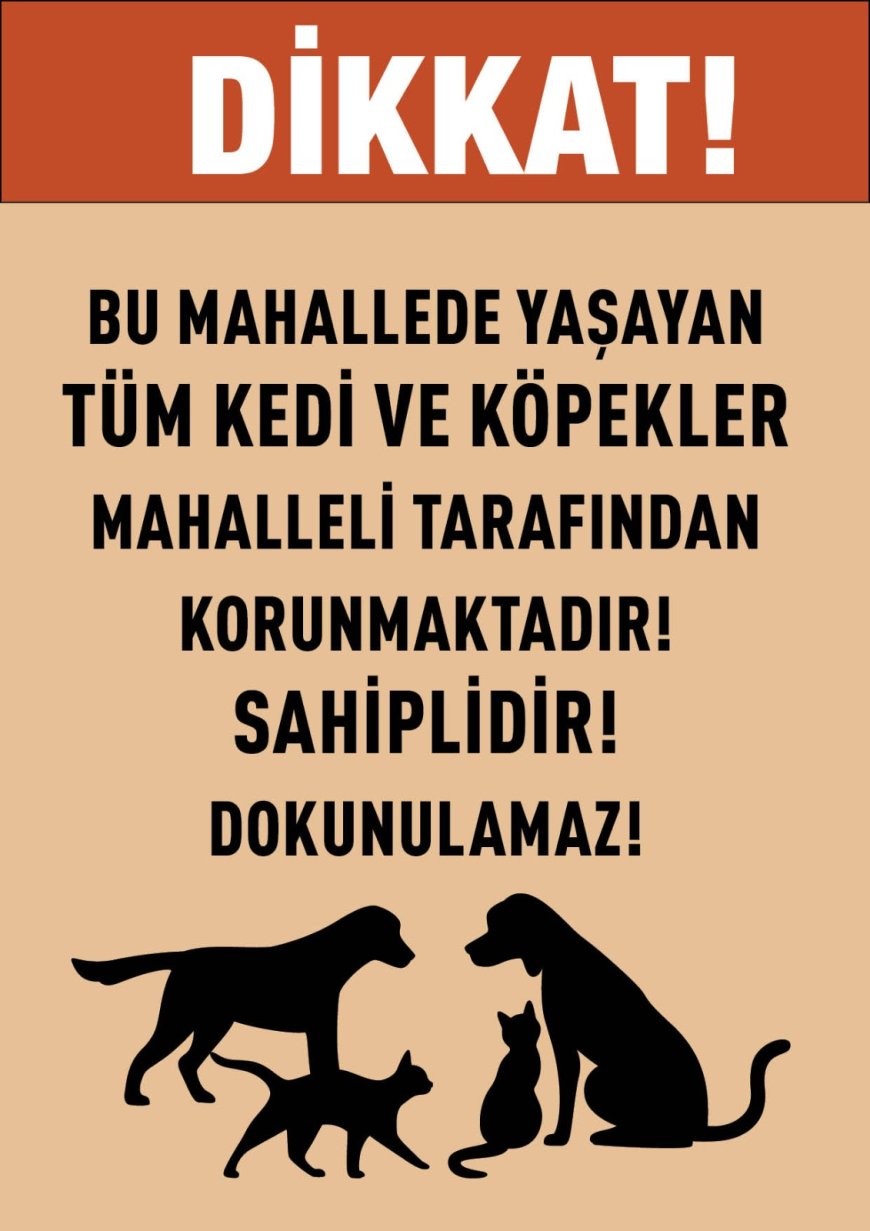 Yeni sokak hayvanları yasası ya da katliam yasası