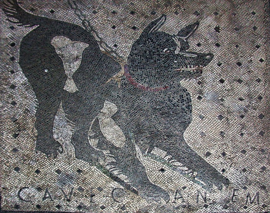 Antik çağda sokaktan köpekler toplanıyor muydu?