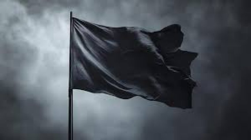 Anarşizm ve kara bayrağın tarihçesi