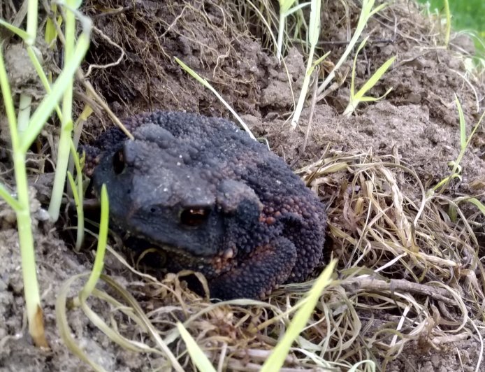 Anarşi bunun tam neresinde?