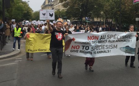 Yves Bonnardel: Hayvanları öldürmemek için et yemiyoruz