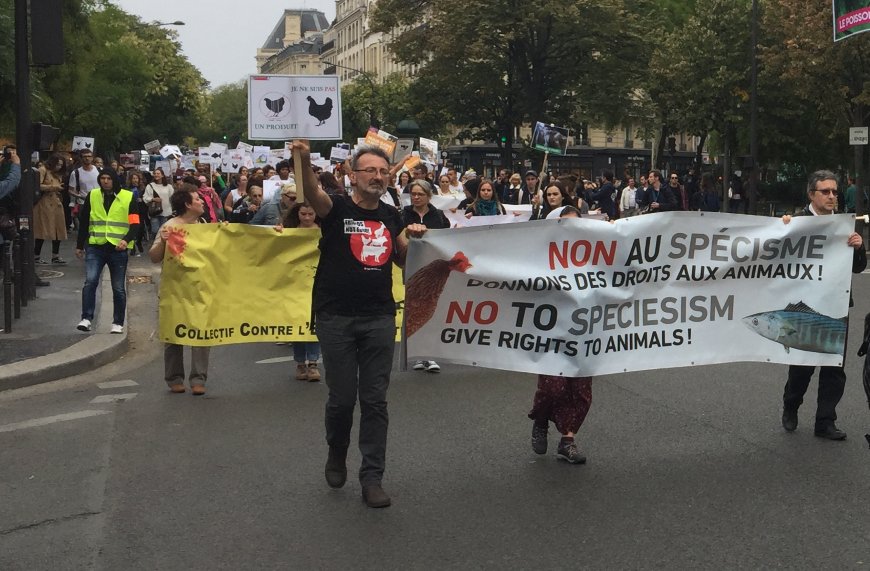 Yves Bonnardel: Hayvanları öldürmemek için et yemiyoruz