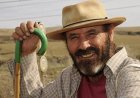 El Cabrero Öldü